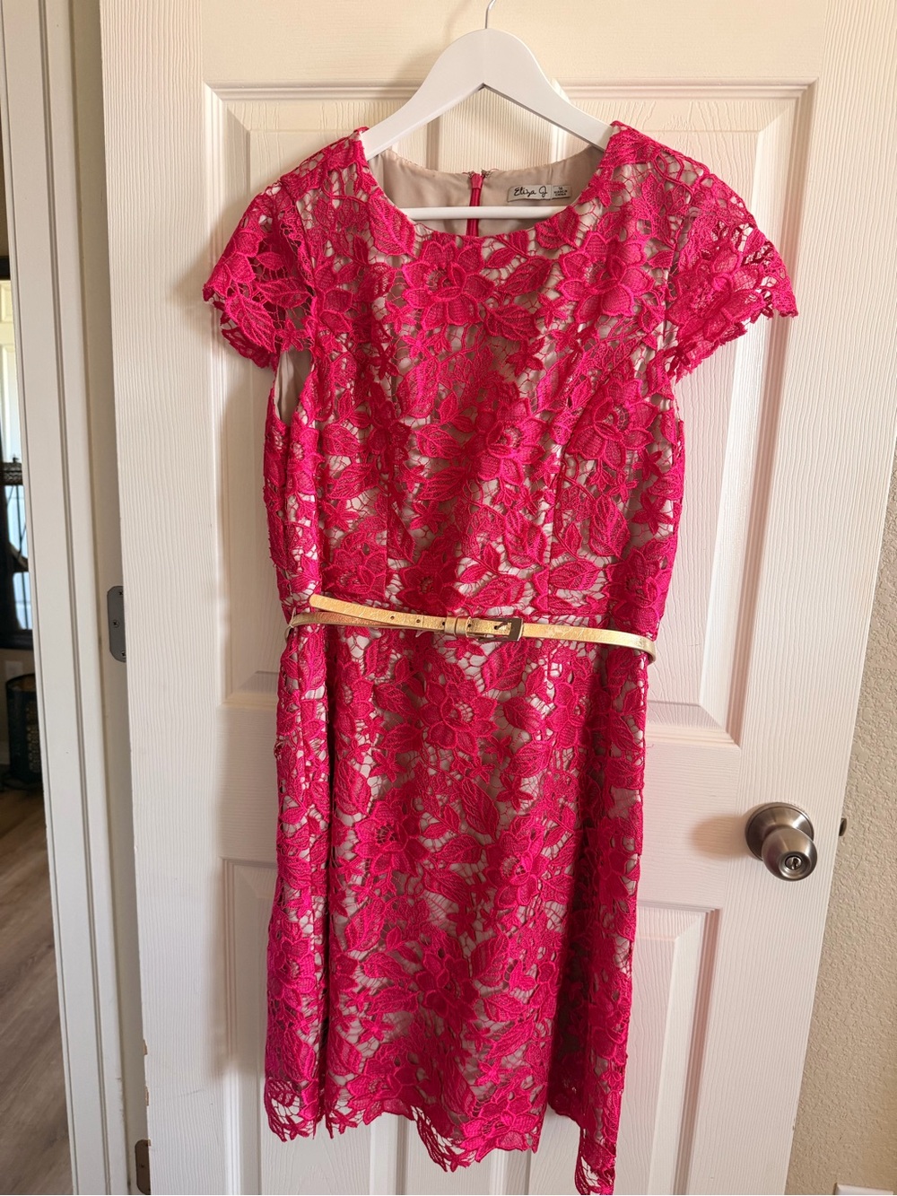 Eliza J Hot Pink Lace Dress with Nude Lining